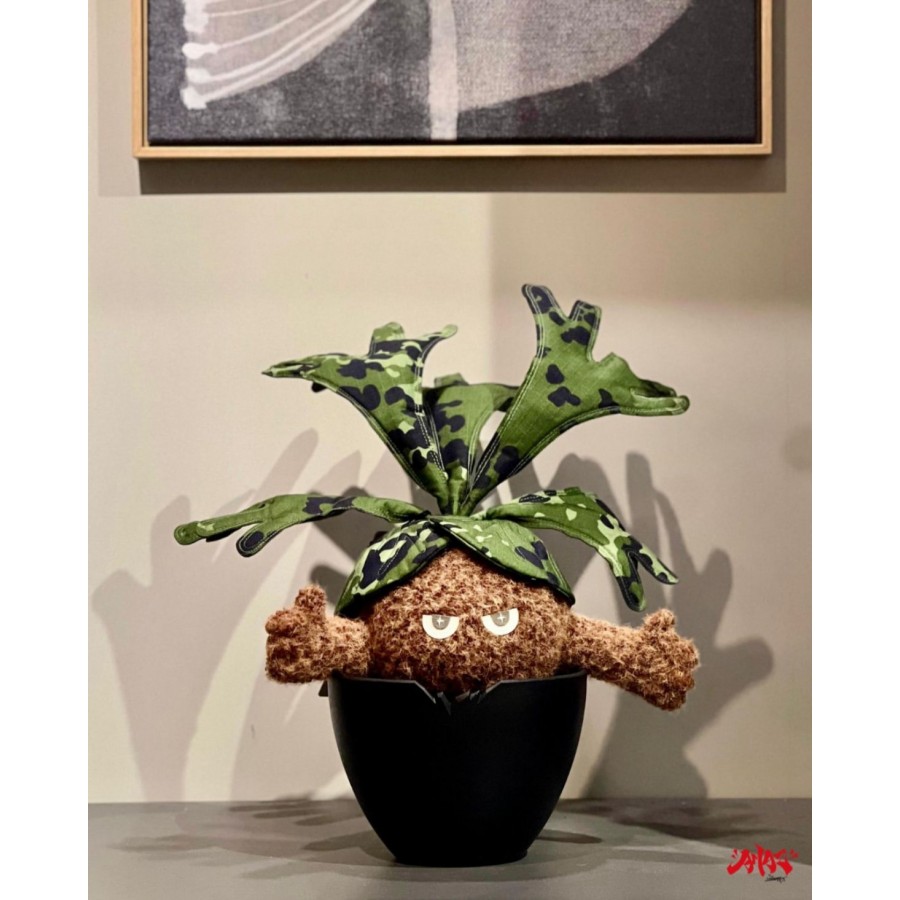 乂Oo煞氣阿蕨oO乂